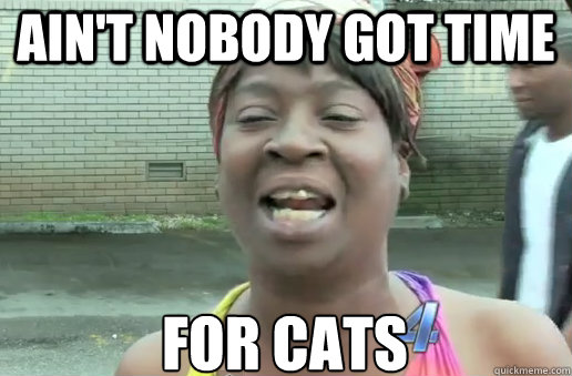 Ain't Nobody Got time for cats - Ain't Nobody Got time for cats  nobody got time for that big 12