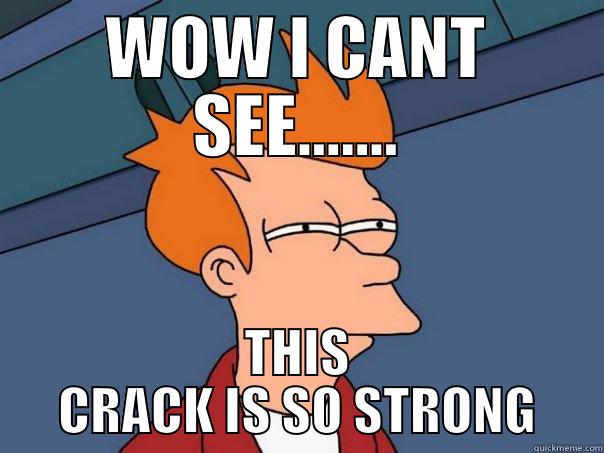 WOW I CANT SEE....... THIS CRACK IS SO STRONG Futurama Fry