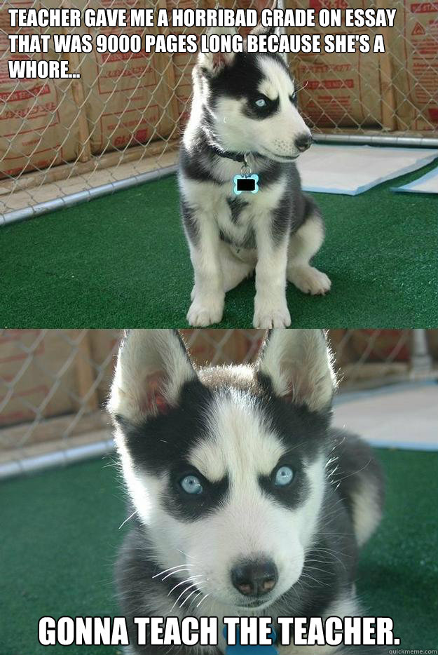 Teacher gave me a horribad grade on essay that was 9000 pages long because she's a whore...
 Gonna teach the teacher.  Insanity puppy