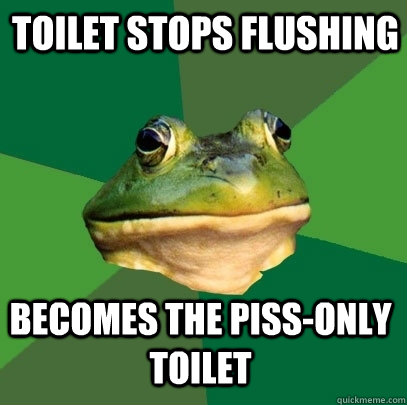 Toilet stops flushing becomes the piss-only toilet  Foul Bachelor Frog