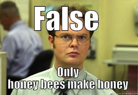 FALSE ONLY HONEY BEES MAKE HONEY Schrute