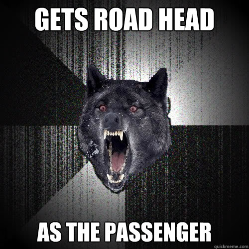 Gets Road head As the passenger  insanitywolf