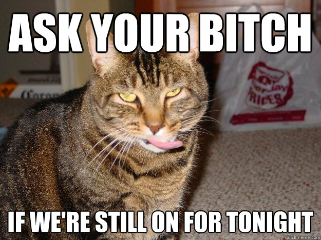 ask your bitch if we're still on for tonight  Creepy Seductive Cat
