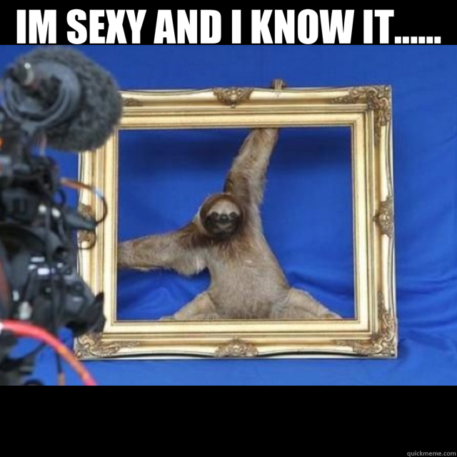 IM SEXY AND I KNOW IT......  - IM SEXY AND I KNOW IT......   sexy sloth!!!