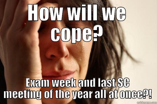 Last Student Connections of the Year - HOW WILL WE COPE? EXAM WEEK AND LAST SC MEETING OF THE YEAR ALL AT ONCE?! First World Problems