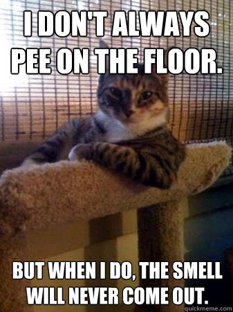 I don't always pee on the floor. But when I do, the smell will never come out.  The Most Interesting Cat in the World