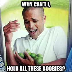 WHY CAN'T I, HOLD ALL THESE BOOBIES?  