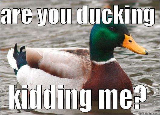 ARE YOU DUCKING  KIDDING ME? Actual Advice Mallard