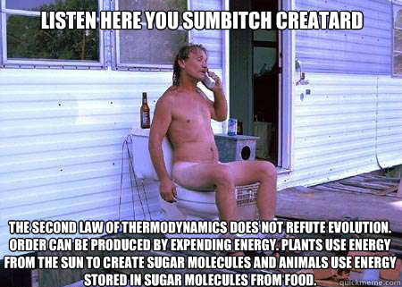 listen here you sumbitch creatard the second law of thermodynamics does not refute evolution. order can be produced by expending energy. plants use energy from the sun to create sugar molecules and animals use energy stored in sugar molecules from food.  