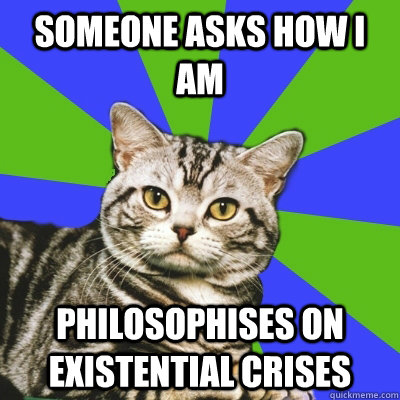 someone asks how i am philosophises on existential crises  Introvert Cat