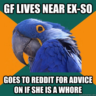 GF lives near Ex-SO Goes to reddit for advice on if she is a whore  Paranoid Parrot