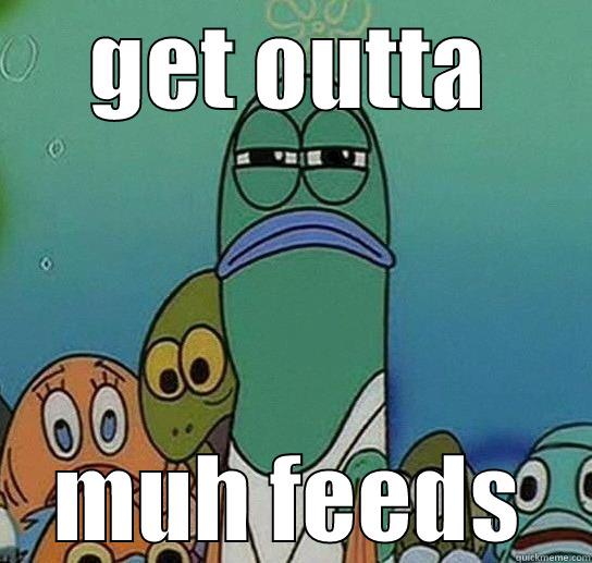 GET OUTTA MUH FEEDS Serious fish SpongeBob