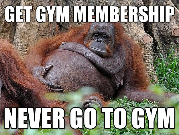 get gym membership never go to gym  