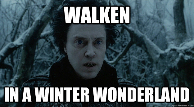 Walken in a winter wonderland  Walken in the snow