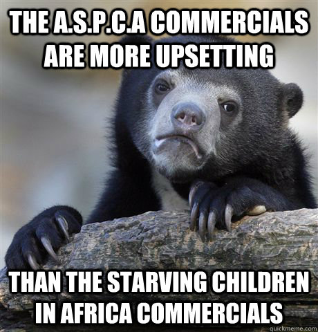 The a.s.p.c.a commercials are more upsetting than the starving children in africa commercials  Confession Bear