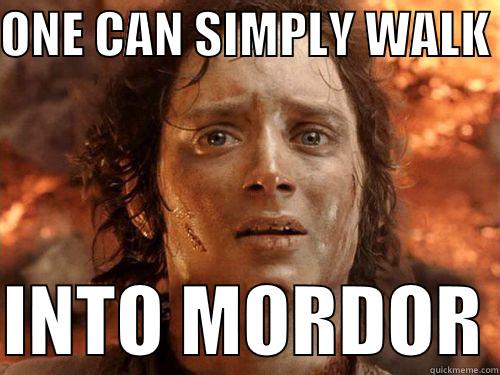 ONE CAN SIMPLY WALK   INTO MORDOR Misc
