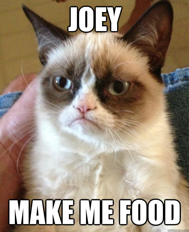 Joey make me food  Grumpy Cat
