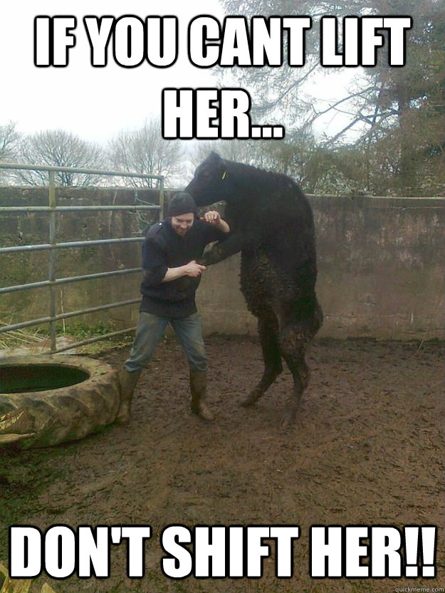 If you cant lift her... Don't shift her!! - If you cant lift her... Don't shift her!!  Misc