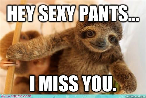 Hey sexy pants... I miss you. - Hey sexy pants... I miss you.  i miss you baby sloth