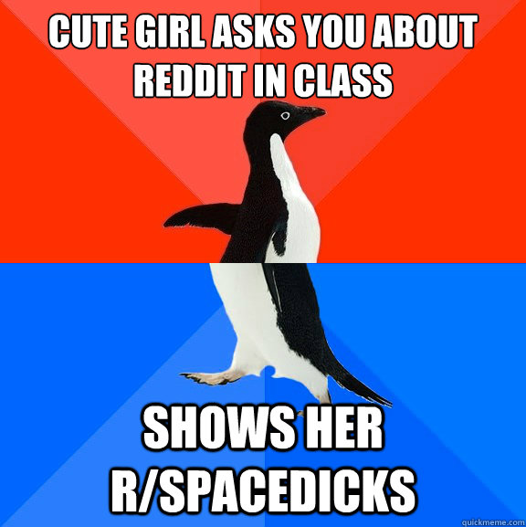 cute girl asks you about reddit in class shows her r/spacedicks  Socially Awesome Awkward Penguin