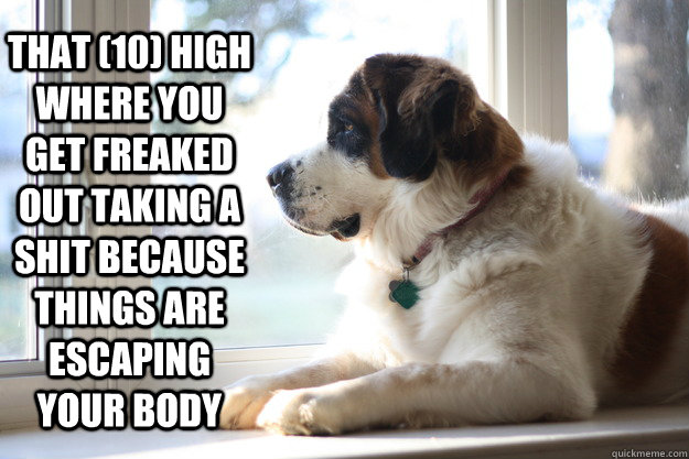 That (10) High where you get freaked out taking a shit because things are escaping your body  deep thoughts