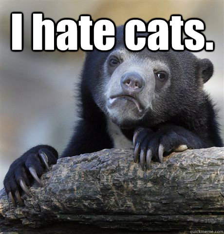 I hate cats.   Confession Bear