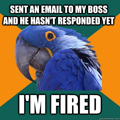 Sent an email to my boss and he hasn't responded yet I'm FIRED  Paranoid Parrot
