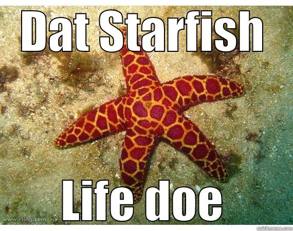 DAT STARFISH LIFE DOE Misc