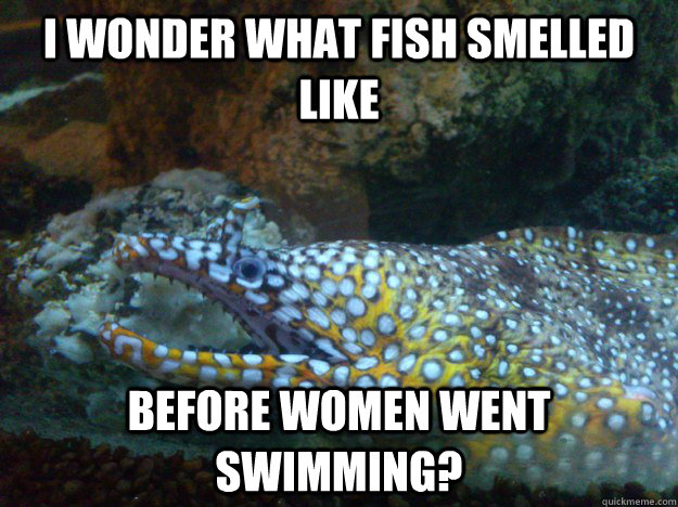 I wonder what fish smelled like before women went swimming? - I wonder what fish smelled like before women went swimming?  Good joke eel