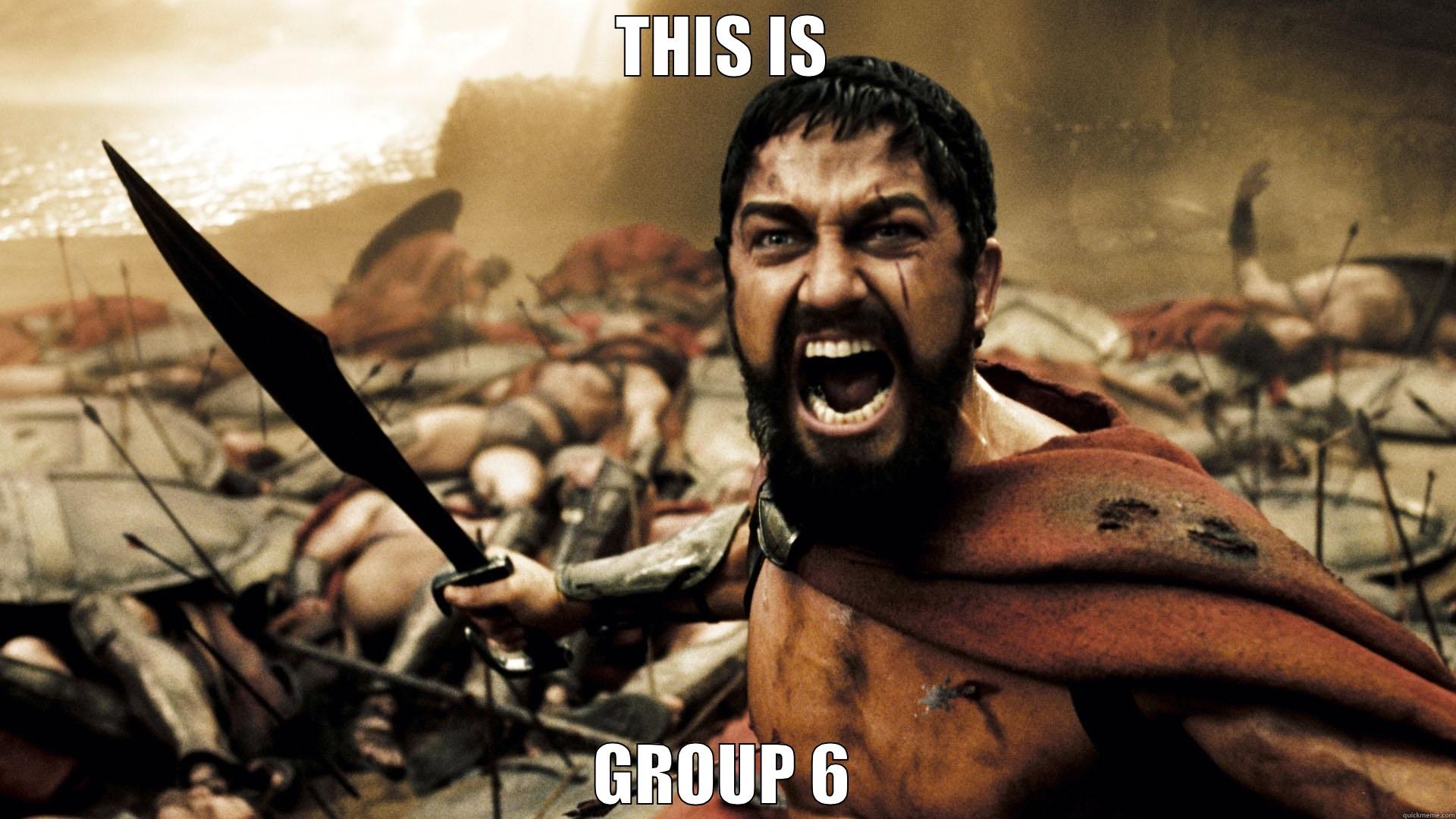 THIS IS GROUP 6 Misc