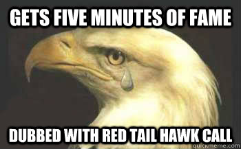 gets five minutes of fame dubbed with red tail hawk call - gets five minutes of fame dubbed with red tail hawk call  Misunderstood Eagle