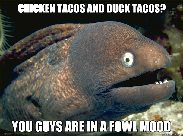 Chicken tacos and duck tacos? You guys are in a fowl mood  Bad Joke Eel