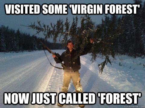 visited some 'virgin forest' now just called 'forest' - visited some 'virgin forest' now just called 'forest'  Misc