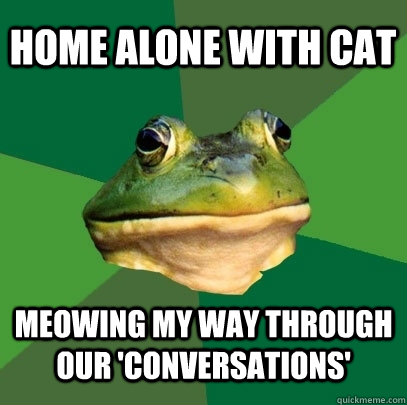 home alone with cat meowing my way through our 'conversations'  Foul Bachelor Frog