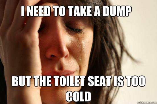 I need to take a dump but the toilet seat is too cold  First World Problems