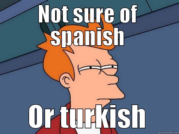 Turkish meme - NOT SURE OF SPANISH OR TURKISH Futurama Fry