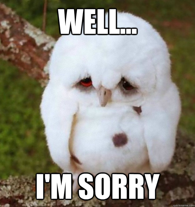 well... I'm Sorry  No Sleep Heres Sad Owl