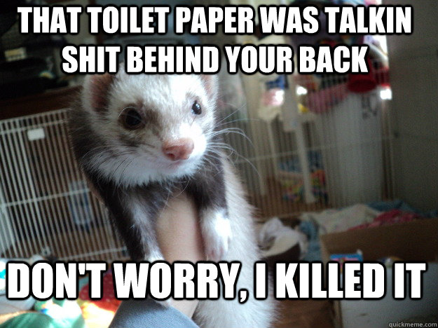 that toilet paper was talkin shit behind your back don't worry, i killed it  