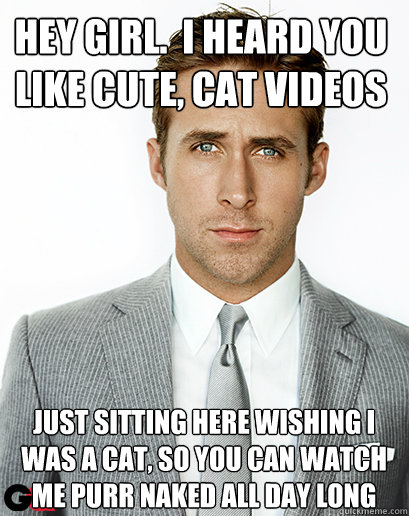 hey girl.  i heard you like cute, cat videos just sitting here wishing i was a cat, so you can watch me purr naked all day long - hey girl.  i heard you like cute, cat videos just sitting here wishing i was a cat, so you can watch me purr naked all day long  Irish Dance Ryan Gosling