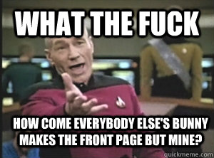 What the fuck how come everybody else's bunny makes the front page but mine?  Annoyed Picard