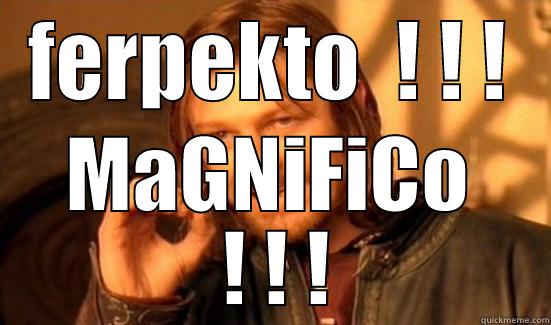 FERPEKTO  ! ! ! MAGNIFICO  ! ! ! Boromir