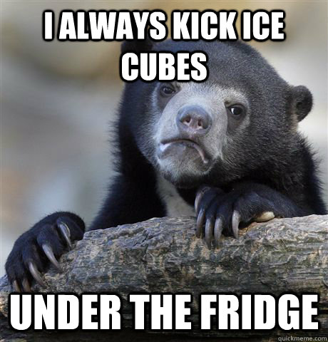 I ALWAYS KICK ICE CUBES UNDER THE FRIDGE  Confession Bear