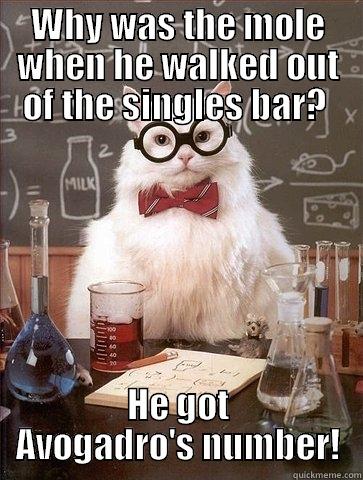 WHY WAS THE MOLE WHEN HE WALKED OUT OF THE SINGLES BAR?  HE GOT AVOGADRO'S NUMBER! Chemistry Cat