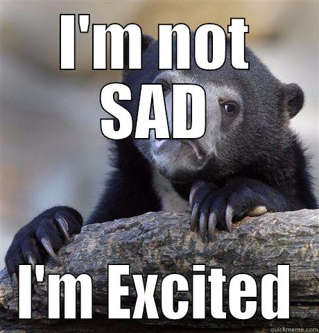 I'M NOT SAD I'M EXCITED Confession Bear
