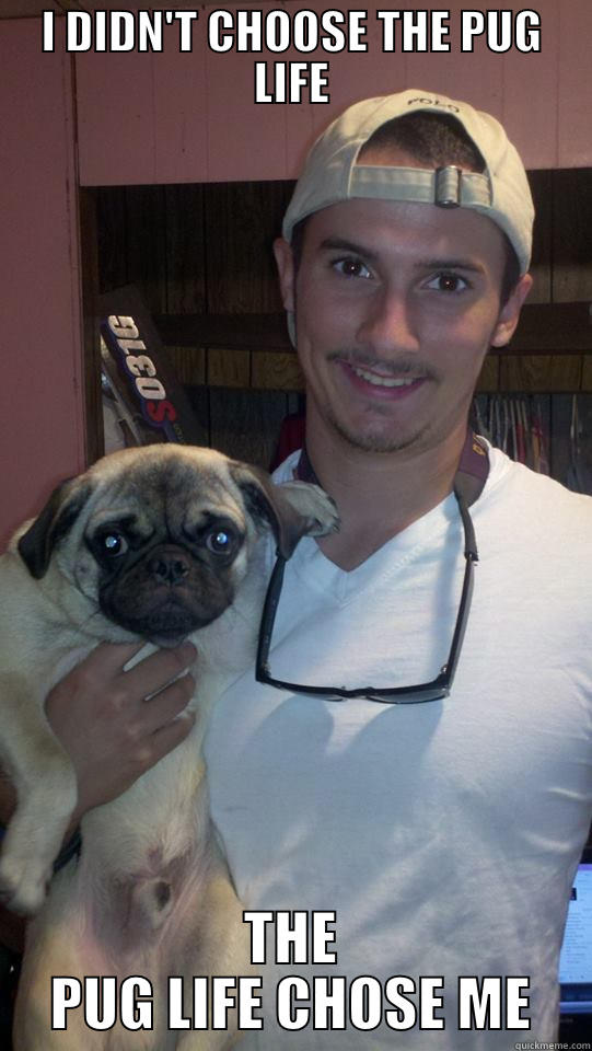 I DIDN'T CHOOSE THE PUG LIFE THE PUG LIFE CHOSE ME Misc