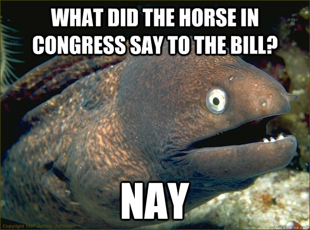 what did the horse in congress say to the bill? nay - what did the horse in congress say to the bill? nay  Bad Joke Eel