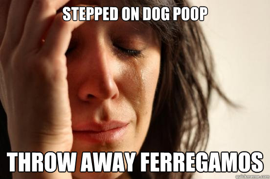 Stepped On dog poop throw away ferregamos  First World Problems