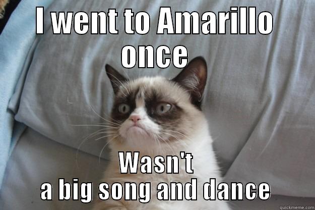 Grumpy Cat goes to Amarillo - I WENT TO AMARILLO ONCE WASN'T A BIG SONG AND DANCE Grumpy Cat
