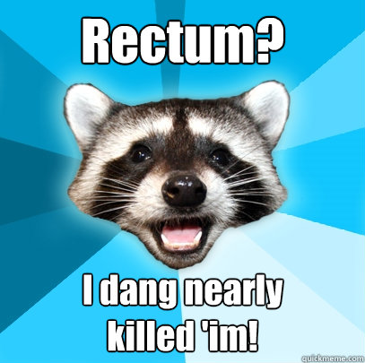Rectum? I dang nearly
killed 'im!  Lame Pun Coon