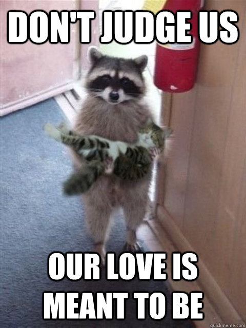 Don't judge us Our love is meant to be - Don't judge us Our love is meant to be  lovecoon